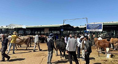 Kurbanlık keçisini dolandırıcılara kaptıran yetiştiricinin imdadına polis yetişti