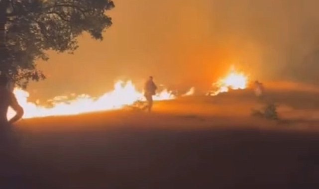 Malatya'da 14 saatte 89 örtü ve orman yangını çıktı