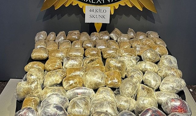 Malatya'da 44 kilogram skunk ele geçirildi