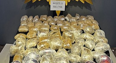Malatya'da 44 kilogram skunk ele geçirildi
