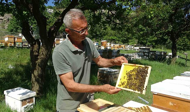 Malatya'da arıcılar hasat için gün sayıyor