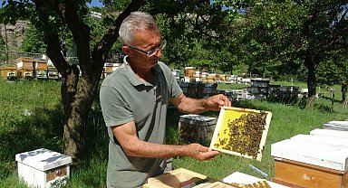 Malatya'da arıcılar hasat için gün sayıyor