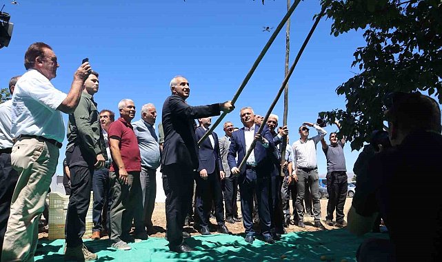 Malatya'da kayısı hasat şenliği düzenlendi