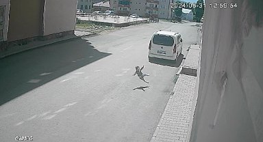 Muş'ta 7. kattan düşen 2 yaşındaki çocuk hayatını kaybetti