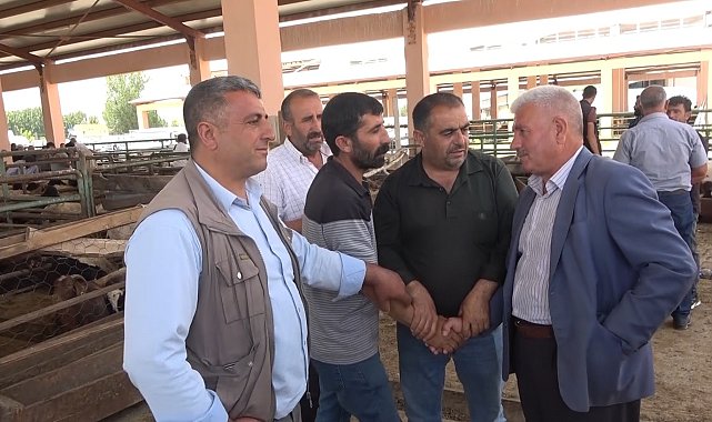 Muş'ta canlı hayvan pazarında kurban hareketliliği arttı