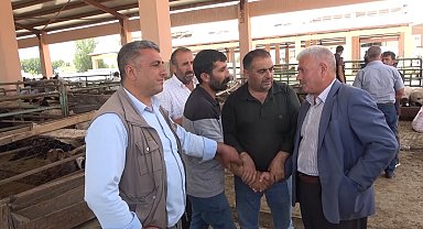 Muş'ta canlı hayvan pazarında kurban hareketliliği arttı