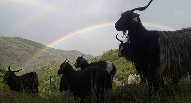 Muş'ta görsel şölen