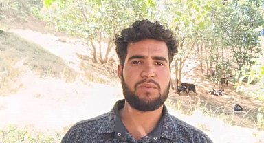 Muş'ta koyunları otlatırken kurt ile göz göze geldi