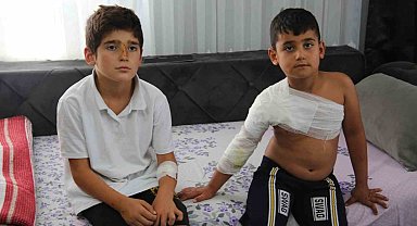 Muş'ta sahipsiz köpekler dehşet saçtı: İki kardeş yaralandı