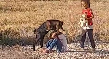 Oğlağın çocuklarla oyunu gülümsetti