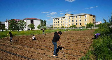 Öğrenciler kendi tarlalarında ilk fideleri toprakla buluşturdu