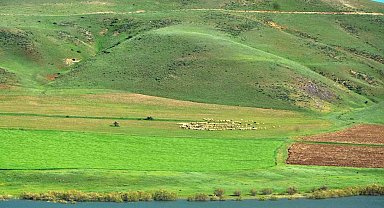 "Erzurum'da süt ürünleri üretimi gelişime açık"