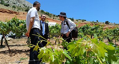 "Türkiye'de Tarıma Dayalı Sanayi'de Rekabet Gücünün Artırılması Projesi" faaliyetleri başladı