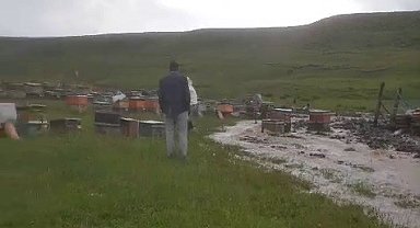 Sel ve dolu arı kovanlarını vurdu