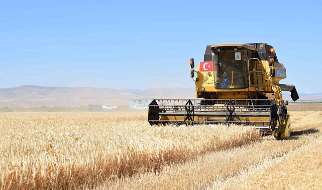 Sultansuyu'nda hububat hasadı başladı