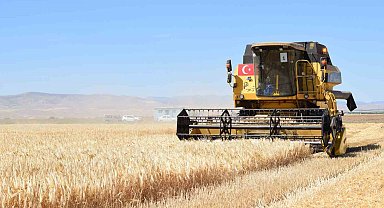 Sultansuyu'nda hububat hasadı başladı
