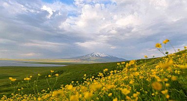 Sütey Yaylası ve Süphan Dağı'nda bulut geçişleri görsel şölen oluşturdu