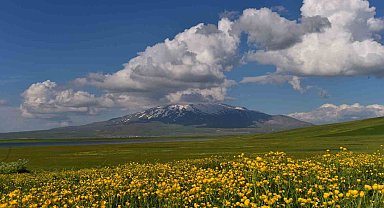Sütey Yaylası ve Süphan Dağı'ndan hayranlık uyandıran görüntüler