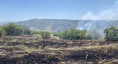 Tunceli'de 3 ayrı bölgede çıkan yangınlardan 2'si söndürüldü, 1'ine müdahale sürüyor