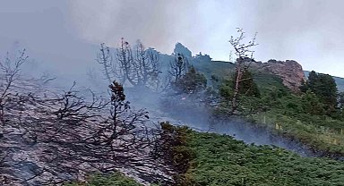 Tunceli'de ağaçlık alanda yangın