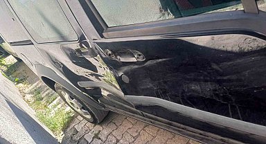 Tunceli'de ayı, seyir halindeki araca saldırdı