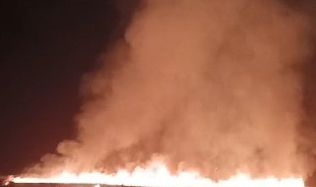 Tunceli'de korkutan yangın: 100 dönümlük ekili alan zarar gördü