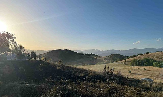 Tunceli'deki ot yangını büyümeden söndürüldü