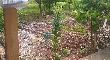 Tuzluca'da ani dolu yağışı tarım arazilerine zarar verdi