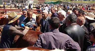 Van'da kurban pazarlarında sıkı pazarlıklar başladı