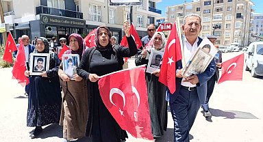 Vanlı ailelerin evlat nöbeti 81'inci haftasına girdi