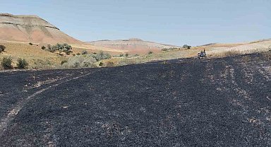 Yangın badem ve fıstık ağaçlarına zarar verdi