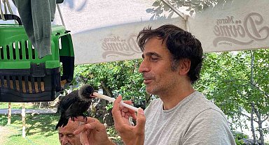 Yavru kargaya bebek gibi bakıyorlar