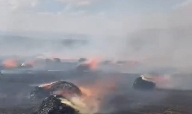 Yüksekova'da çıkan arazi yangını korkuttu