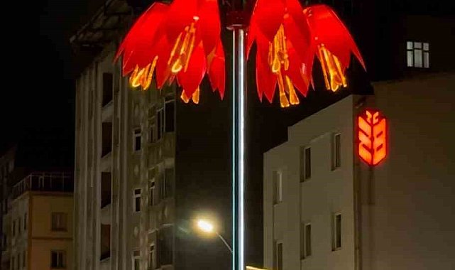 Yüksekova'da dolunay manzarası görenleri mest etti