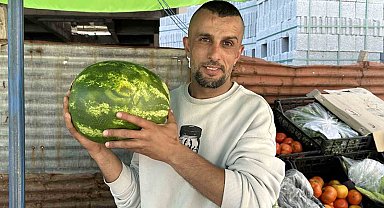 Yüksekova'da karpuzun üzerindeki 'Allah' yazısı dikkat çekti