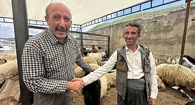 Yüksekova'da kurbanlıklar görücüye çıktı