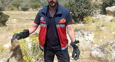 10 metrelik kuyuya düşen yavru tilki kurtarıldı