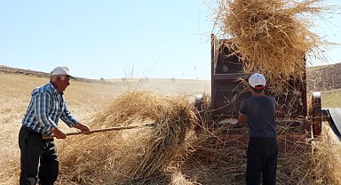36 derece sıcakta kışlık yem mücadelesi