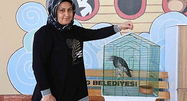 'Kübra' diye seslenen papağan, Tuba'sına kavuştu