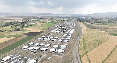 Ağrı'da Türkiye'nin en büyük entegre hayvancılık tesisi kuruluyor