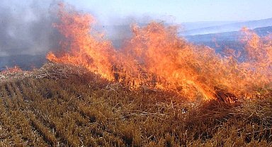 Anız yakma doğal dengeyi bozma