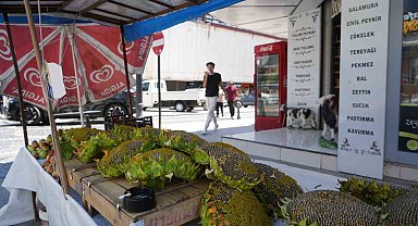 Ayçiçeği tezgahlarda yerini aldı