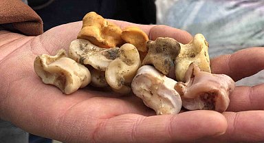 Bin yıllık 'aşık oyunu' Erzincan'da hayat buldu