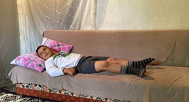 Bingöl'de başıboş köpekler 8 yaşındaki çocuğa saldırdı