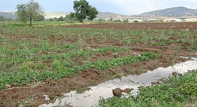 Bingöl'de bölgesel dolu yağışı sebze fidelerine zarar verdi