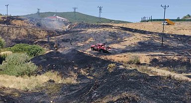 Bingöl'de çıkan orman yangını büyümeden söndürüldü