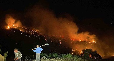Bingöl'de çıkan orman yangını kontrol altına alındı