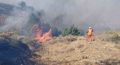 Bingöl'de çıkan orman yangını söndürüldü