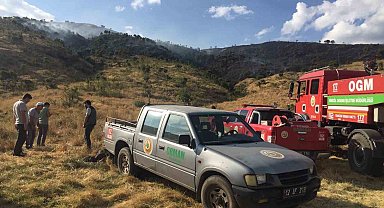 Bingöl'de çıkan yangınlar söndürüldü