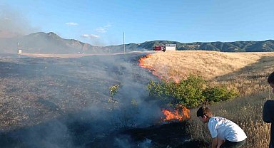 Bingöl'de kırsal alanda çıkan yangın söndürüldü